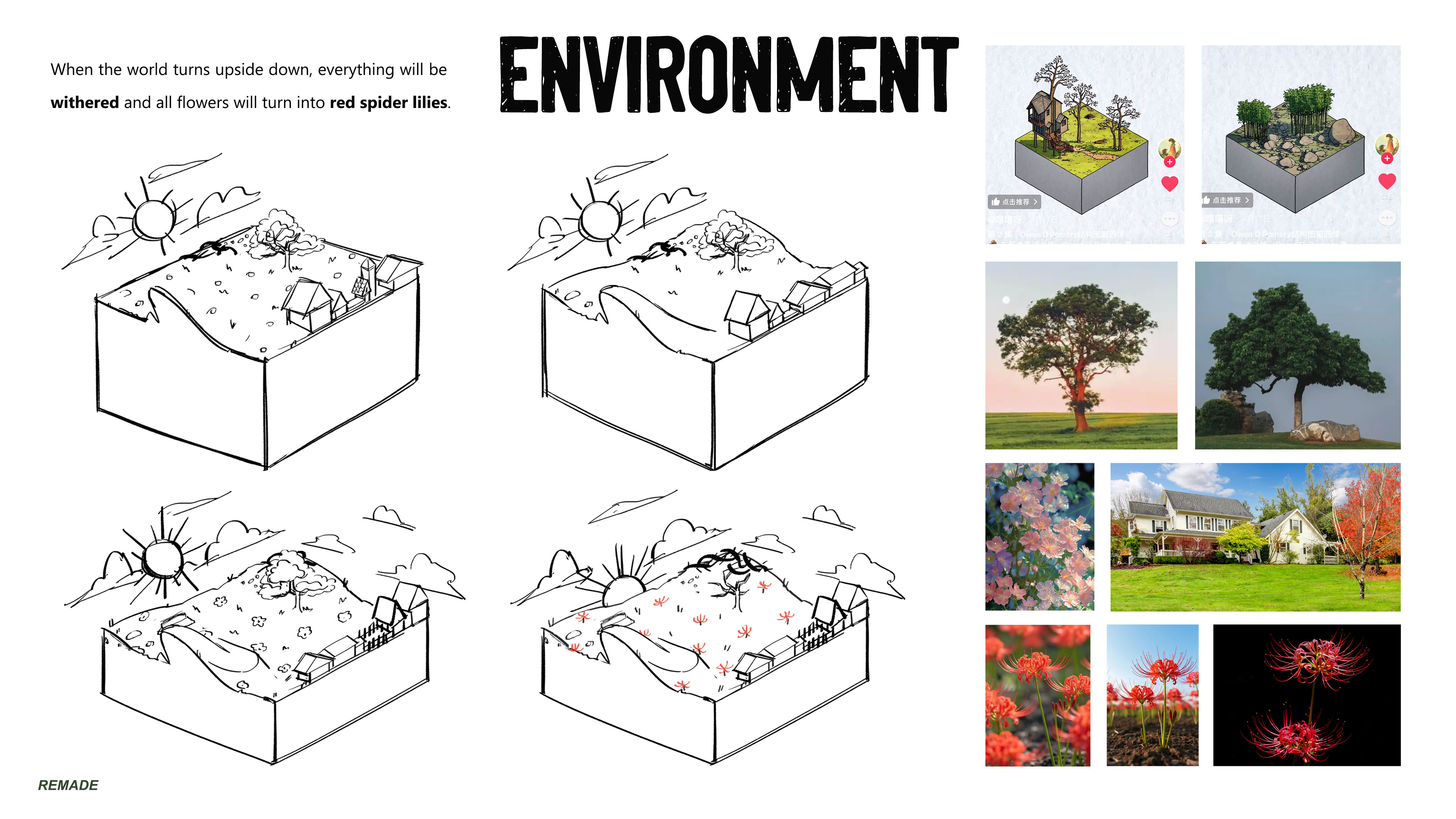 Project 01 image 13