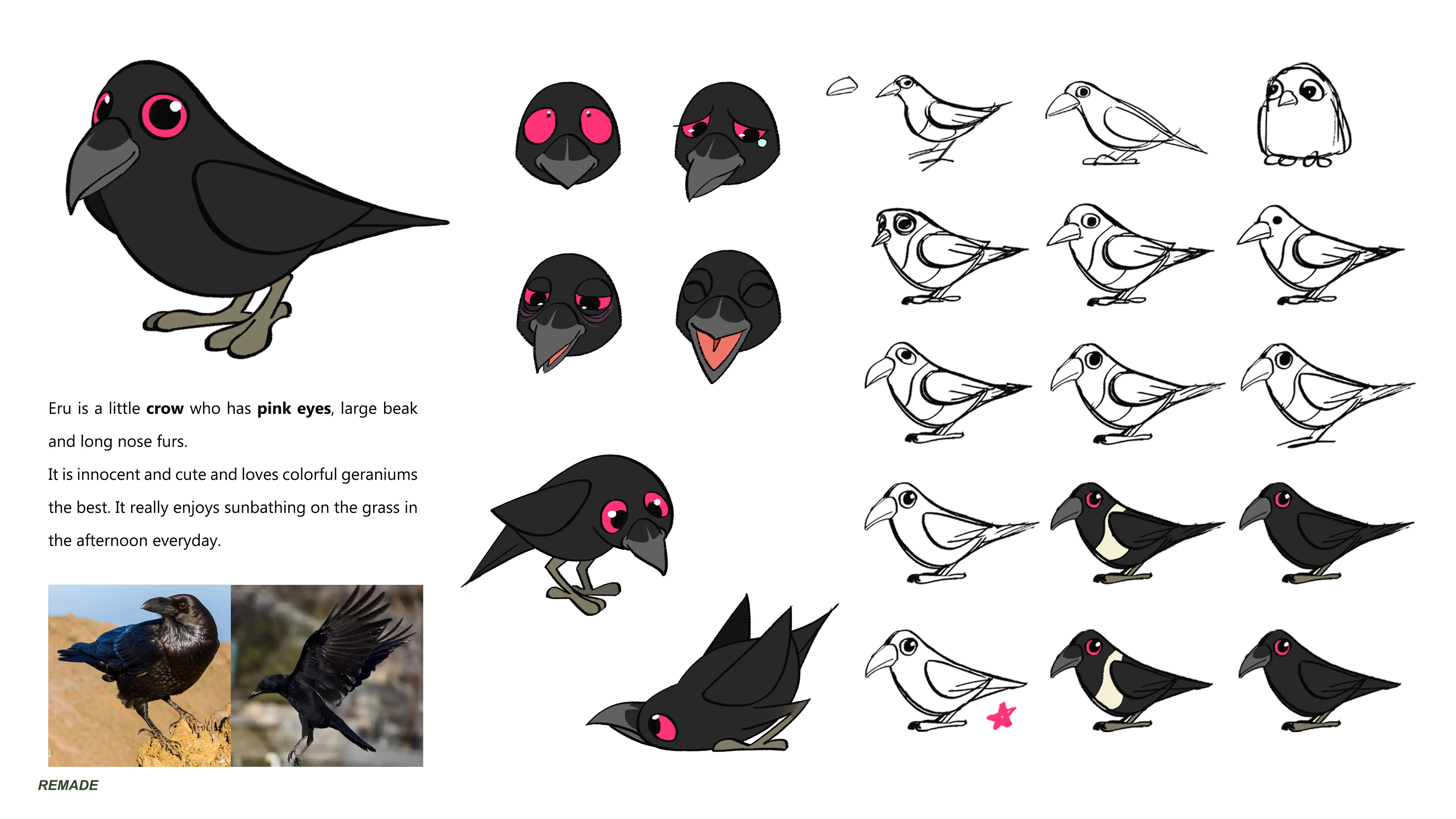 Project 01 image 3